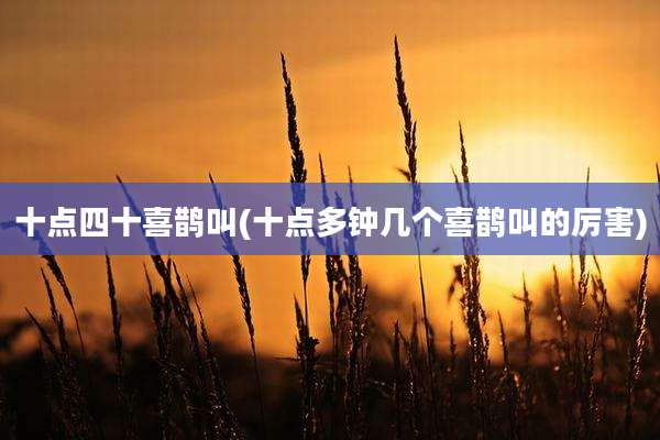 十点四十喜鹊叫(十点多钟几个喜鹊叫的厉害)
