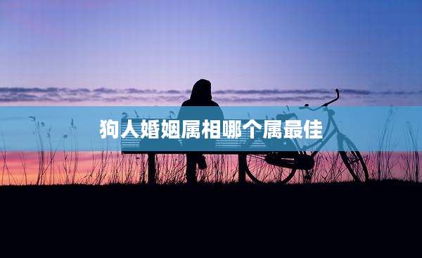 狗人婚姻属相哪个属最佳