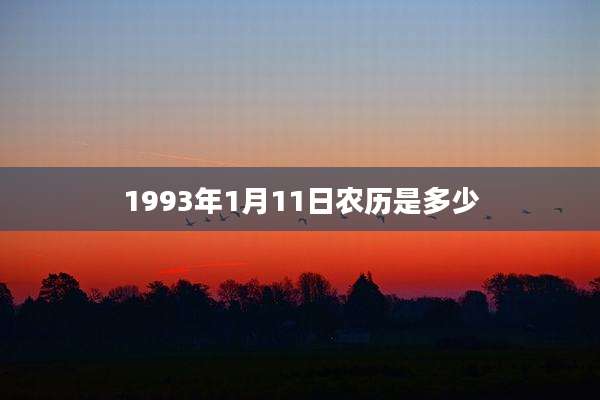 1993年1月11日农历是多少