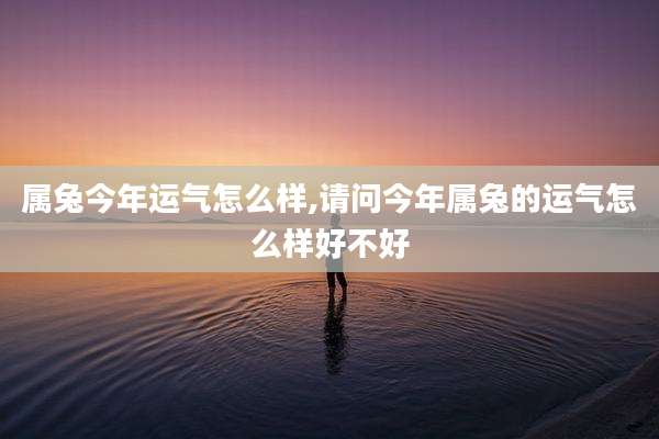 属兔今年运气怎么样,请问今年属兔的运气怎么样好不好