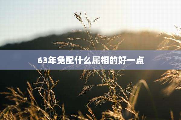 63年兔配什么属相的好一点