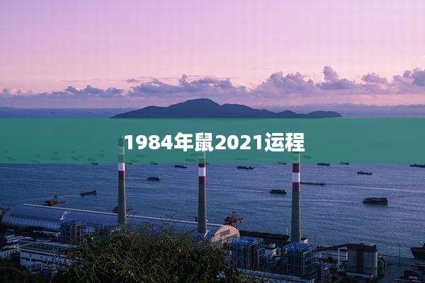 1984年鼠2021运程