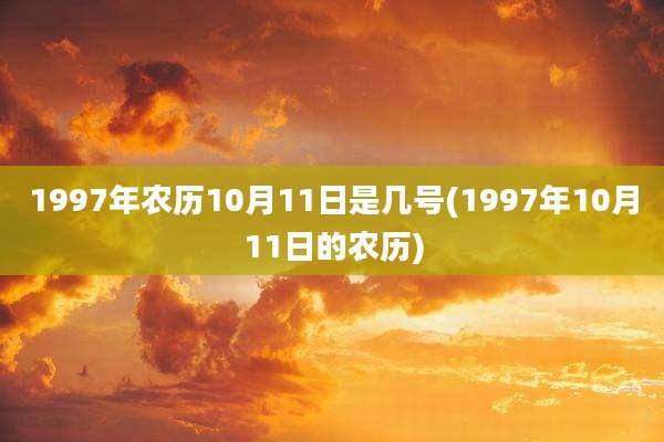 1997年农历10月11日是几号(1997年10月11日的农历)