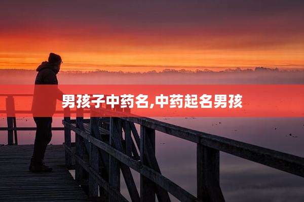 男孩子中药名,中药起名男孩