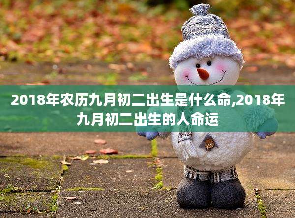 2018年农历九月初二出生是什么命,2018年九月初二出生的人命运