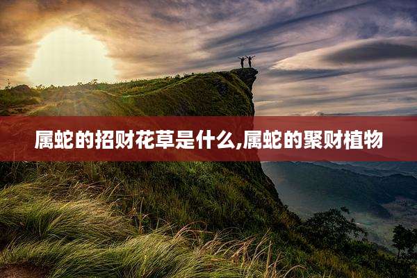 属蛇的招财花草是什么,属蛇的聚财植物