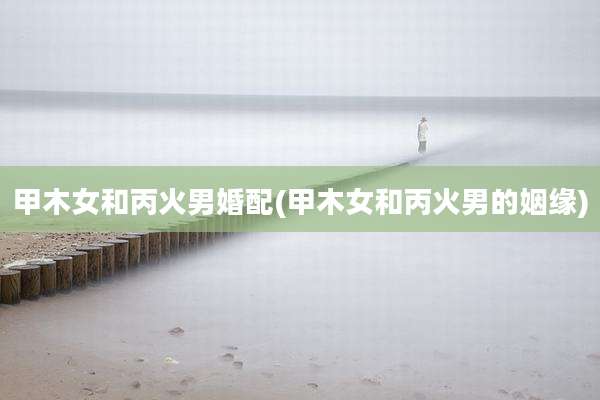 甲木女和丙火男婚配(甲木女和丙火男的姻缘)