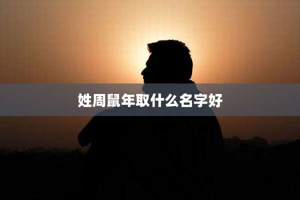 姓周鼠年取什么名字好