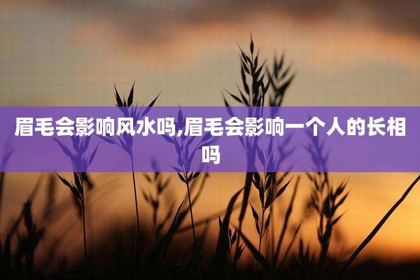 眉毛会影响风水吗,眉毛会影响一个人的长相吗