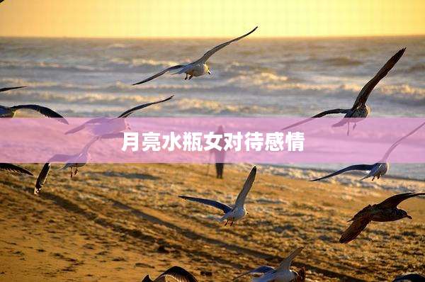 月亮水瓶女对待感情