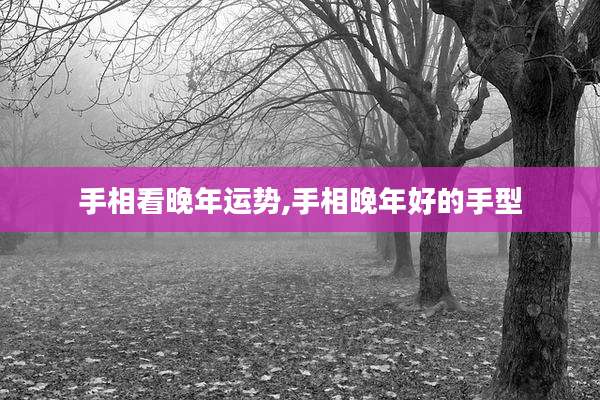 手相看晚年运势,手相晚年好的手型