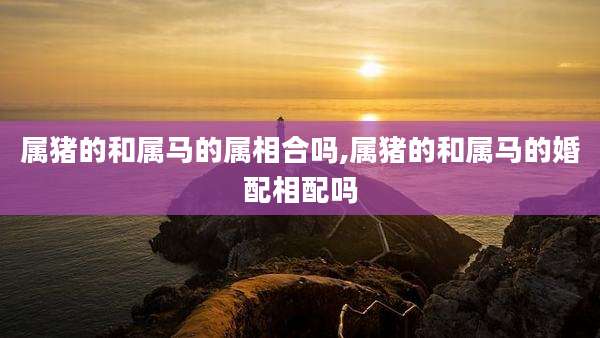 属猪的和属马的属相合吗,属猪的和属马的婚配相配吗