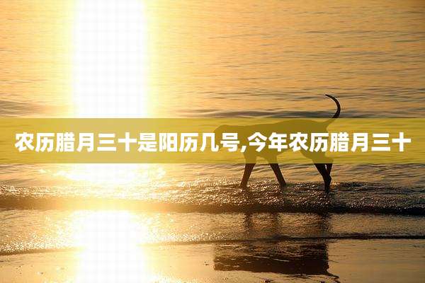 农历腊月三十是阳历几号,今年农历腊月三十