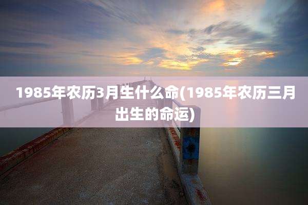 1985年农历3月生什么命(1985年农历三月出生的命运)