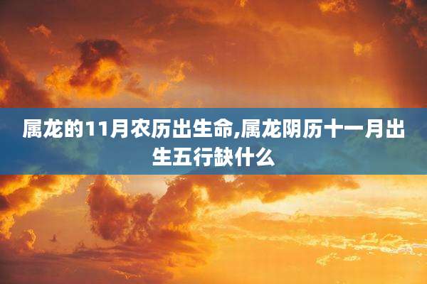 属龙的11月农历出生命,属龙阴历十一月出生五行缺什么