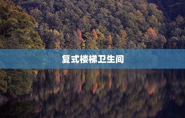 复式楼梯卫生间