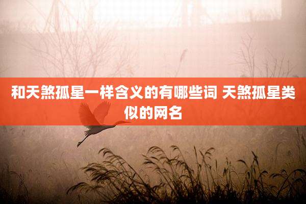 和天煞孤星一样含义的有哪些词 天煞孤星类似的网名