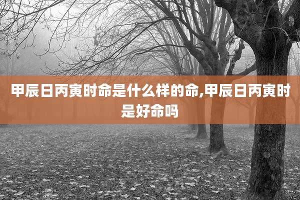 甲辰日丙寅时命是什么样的命,甲辰日丙寅时是好命吗