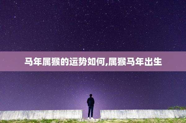 马年属猴的运势如何,属猴马年出生