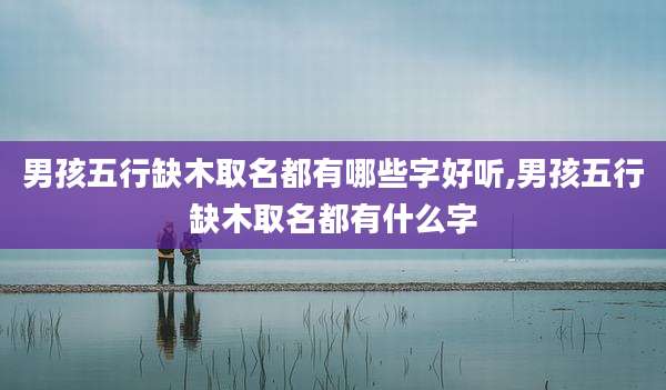 男孩五行缺木取名都有哪些字好听,男孩五行缺木取名都有什么字
