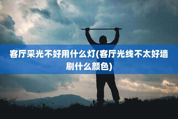 客厅采光不好用什么灯(客厅光线不太好墙刷什么颜色)