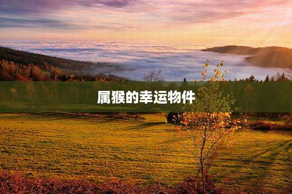 属猴的幸运物件