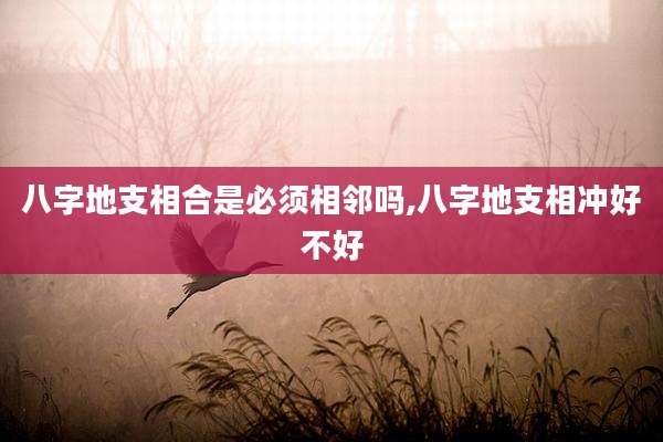 八字地支相合是必须相邻吗,八字地支相冲好不好