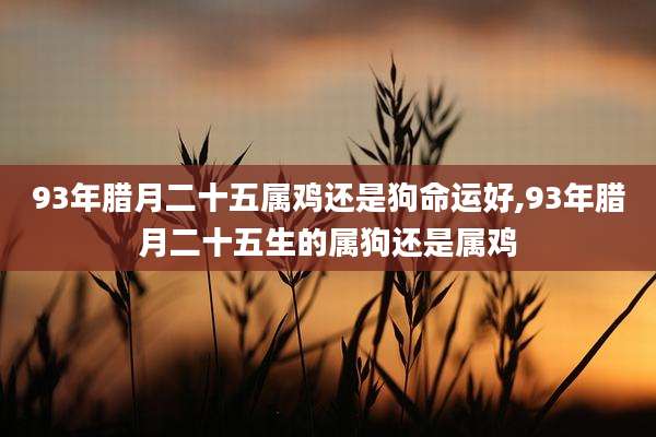 93年腊月二十五属鸡还是狗命运好,93年腊月二十五生的属狗还是属鸡