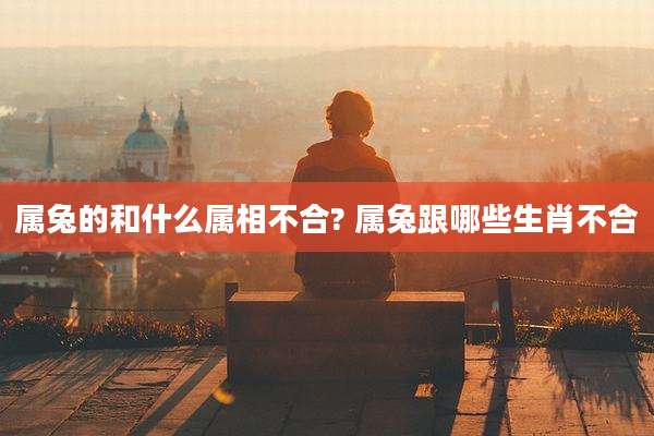 属兔的和什么属相不合? 属兔跟哪些生肖不合