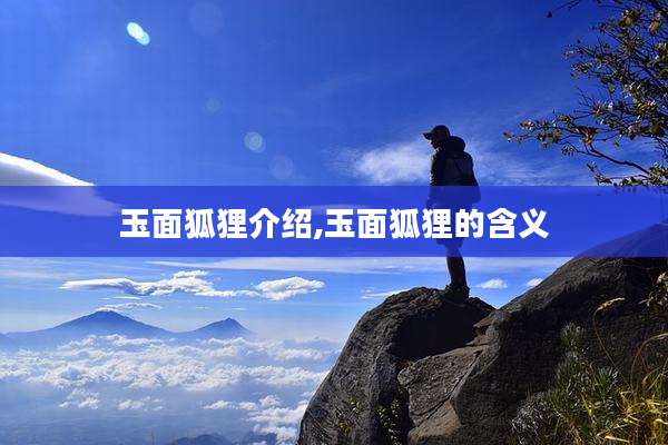 玉面狐狸介绍,玉面狐狸的含义