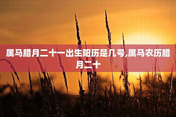 属马腊月二十一出生阳历是几号,属马农历腊月二十