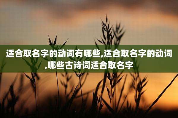 适合取名字的动词有哪些,适合取名字的动词,哪些古诗词适合取名字