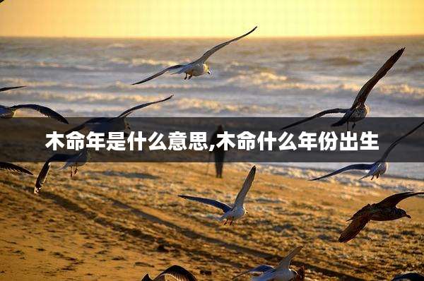 木命年是什么意思,木命什么年份出生