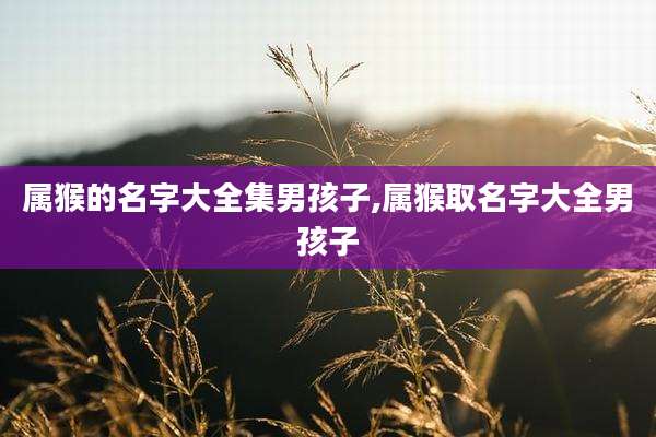 属猴的名字大全集男孩子,属猴取名字大全男孩子
