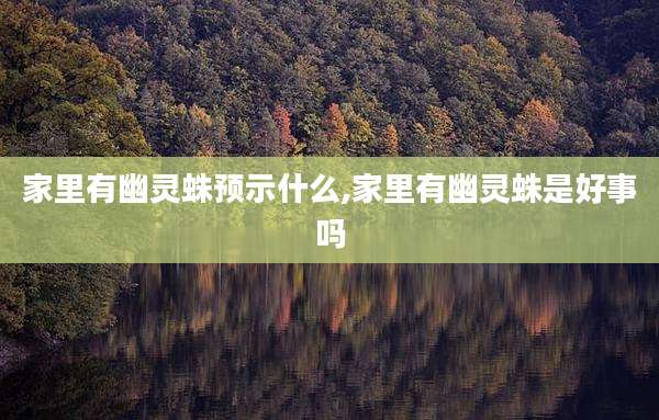 家里有幽灵蛛预示什么,家里有幽灵蛛是好事吗