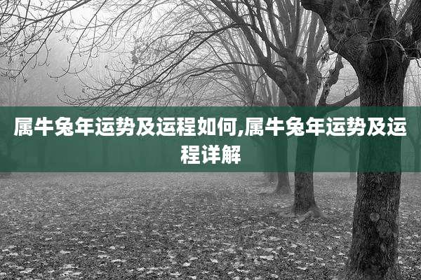 属牛兔年运势及运程如何,属牛兔年运势及运程详解