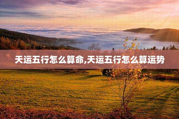 天运五行怎么算命,天运五行怎么算运势