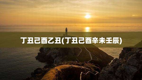 丁丑己酉乙丑(丁丑己酉辛未壬辰)