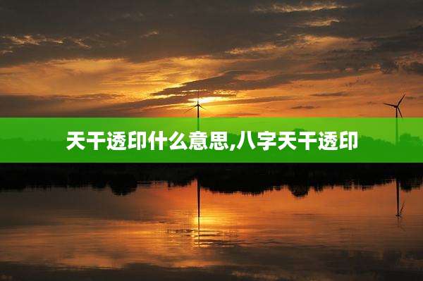 天干透印什么意思,八字天干透印
