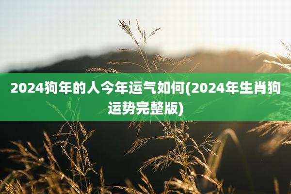 2024狗年的人今年运气如何(2024年生肖狗运势完整版)