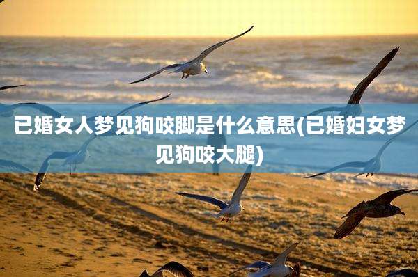已婚女人梦见狗咬脚是什么意思(已婚妇女梦见狗咬大腿)