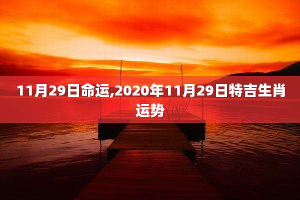 11月29日命运,2020年11月29日特吉生肖运势