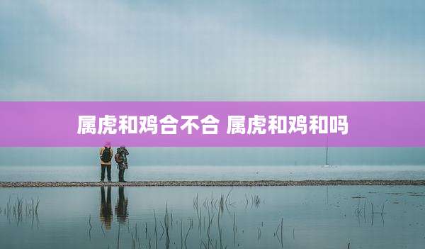 属虎和鸡合不合 属虎和鸡和吗