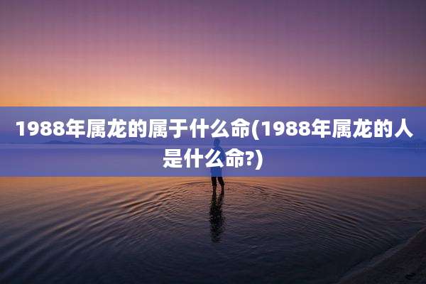 1988年属龙的属于什么命(1988年属龙的人是什么命?)