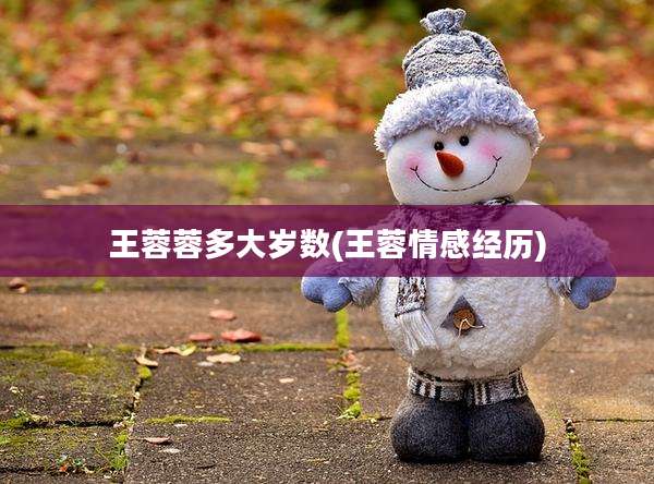 王蓉蓉多大岁数(王蓉情感经历)