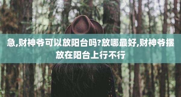 急,财神爷可以放阳台吗?放哪最好,财神爷摆放在阳台上行不行