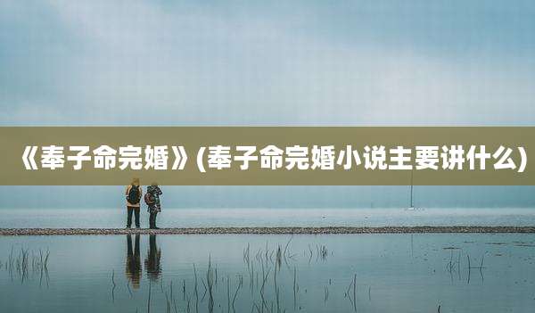 《奉子命完婚》(奉子命完婚小说主要讲什么)