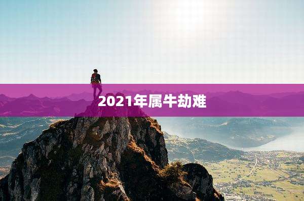 2021年属牛劫难