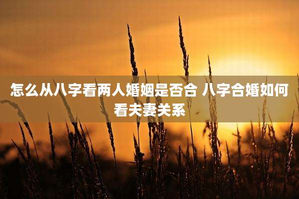 怎么从八字看两人婚姻是否合 八字合婚如何看夫妻关系