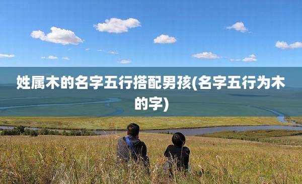 姓属木的名字五行搭配男孩(名字五行为木的字)
